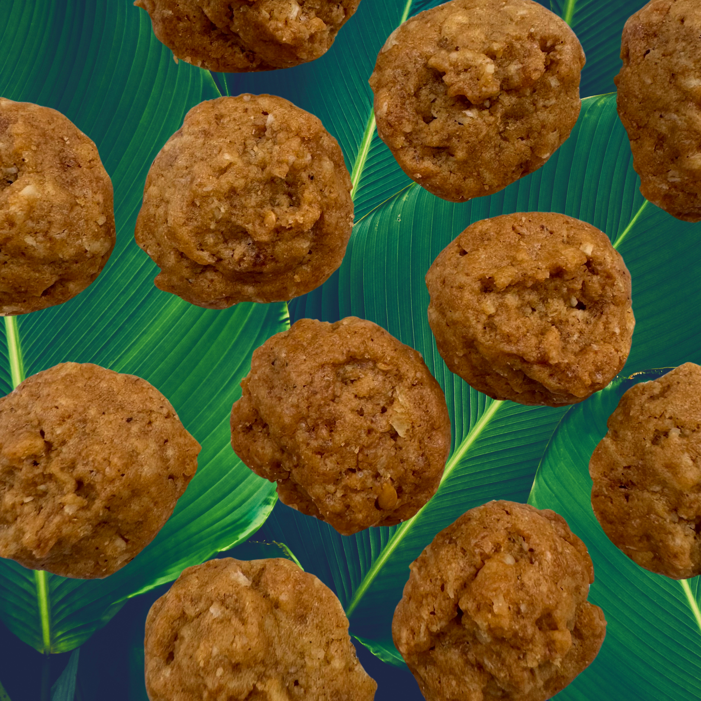 SunTropika Canister - Coconut Chai Cookies